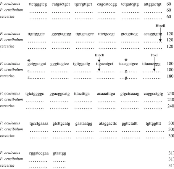 Fig. 2. Sequence alignment of 18S rDNA partial region from Prosorhynchus aculeatus (adult worm), and P