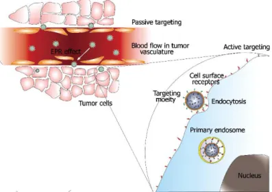 Figure 4. Illustration of the two types of target strategies. a) Passive target in tumor cells