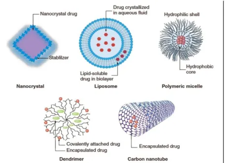Figure 5. Examples of nanoparticles used as drug delivery systems. Adapted from [27]. 