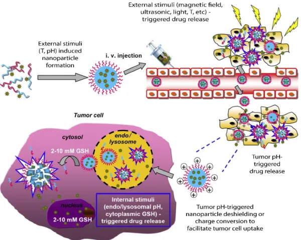 Figure 6. Multiple stimuli responsive nanoparticles developed to improve efficiency in cancer treatment