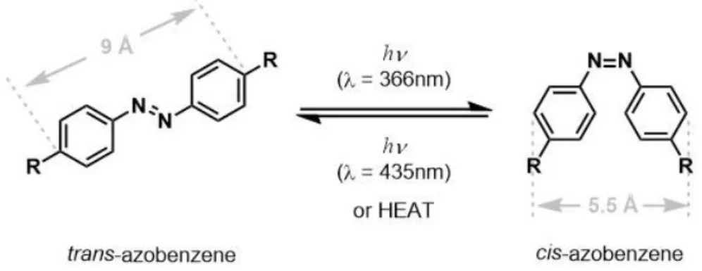 Figure 9. Mechanism of photo-isomerization of azobenzene. Adapted from [62]. 