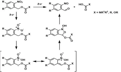 Figure 11. Photochemically-induced cleavage of o-nitrobenzyl alcohol. Adapted from [69]