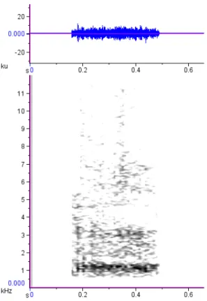 Figura  1.3.8  –  Oscilograma  e  espectrograma  de  um  rosnado  pulsado  do  lobo-guará