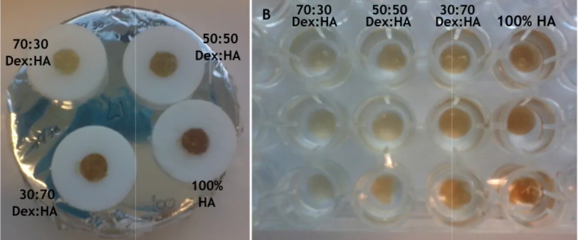 Figure 4.1. Dex and low MW HA hydrogels with different proportions in 