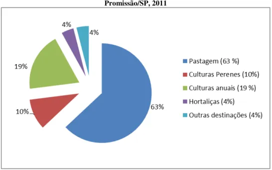 Gráfico 3. Distribuição da utilização das terras no Assentamento Reunidas,  Promissão/SP, 2011 
