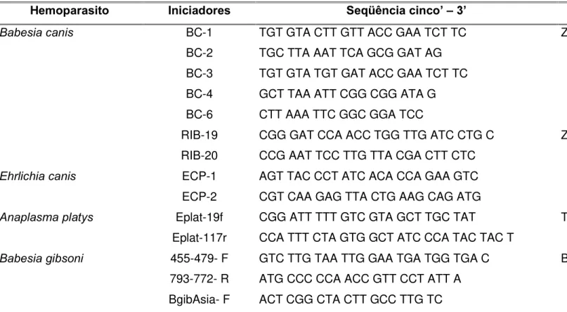 TABELA 4: Seqüência dos iniciadores utilizados nas PCRs. 