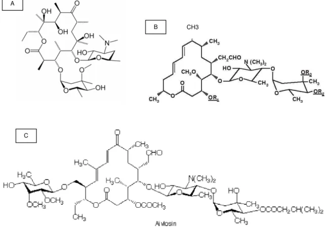 Figura 1.5: Estrutura química da eritromicina (A), da leucomicina (B) e da aivlosina (C)