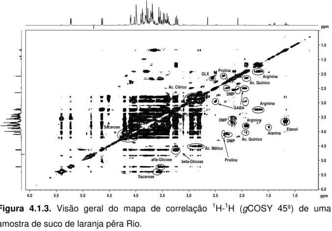 Figura 4.1.4. Visão expandida do mapa de correlação  1 H- 1 H (gCOSY 45º) de uma  amostra de suco de laranja pêra Rio