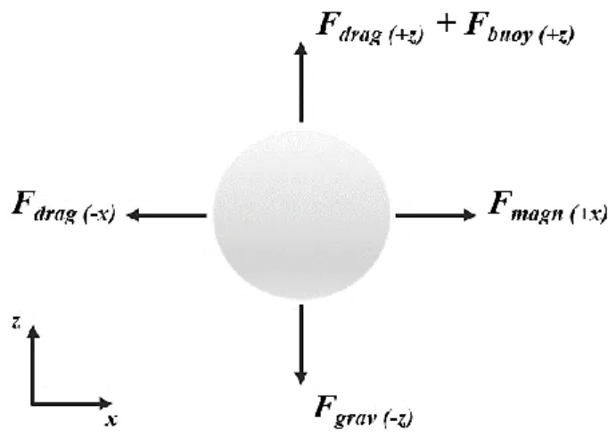 Figure 20. Diagram of the forces acting on a magnetic particle within a viscous medium