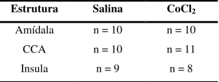 Tabela 1. Grupos experimentais formados no Experimento 1  Estrutura  Salina  CoCl 2