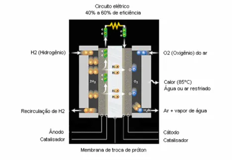 Figura 3.2 - Esquema de funcionamento de Célula a Combustível do tipo PEM 