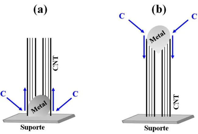 FIGURA  1.2  -  Representação  esquemática  dos  mecanismos  de  crescimento  orientado  dos  CNTs  preparados por CVD (a) tipo “ raiz ” e (b) tipo “ponta”.