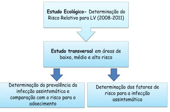 Figura 4- Fluxograma de delineamento do estudo 