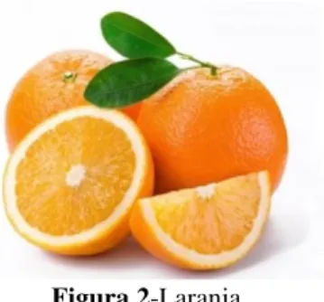 Figura 2-Laranja 