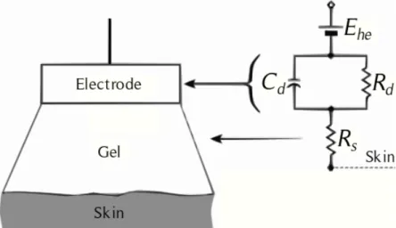 Figure 2.6: Electrode-Electrolyte-Skin circuit model. The parallel R d and C d represent the imped- imped-ance at the electrode-electrolyte interface
