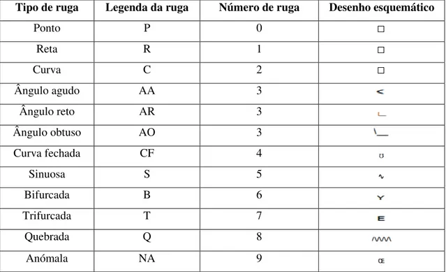 Tabela  1.  Caracterização  individual  das  rugas  palatinas  proposta  por  Santos  (adaptado  de  Tornavoi  e  Silva, 2010)