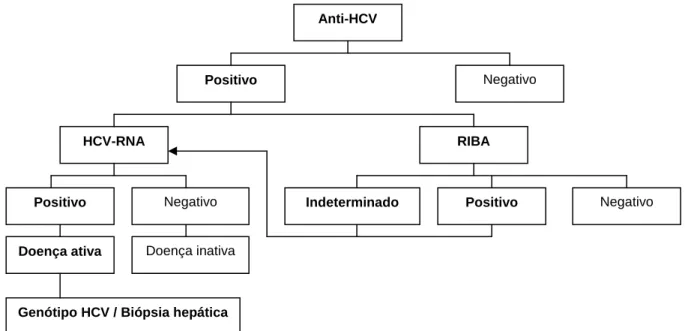 FIGURA 4 - Protocolo para diagnóstico da hepatite C (TEIXEIRA, 2005). 
