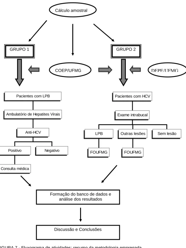 FIGURA 7 - Fluxograma de atividades: resumo da metodologia empregada. 