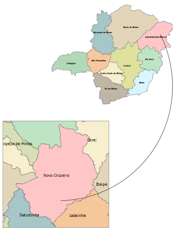 Figura 1. Localização da área de estudo em Minas Gerais, Brasil. 