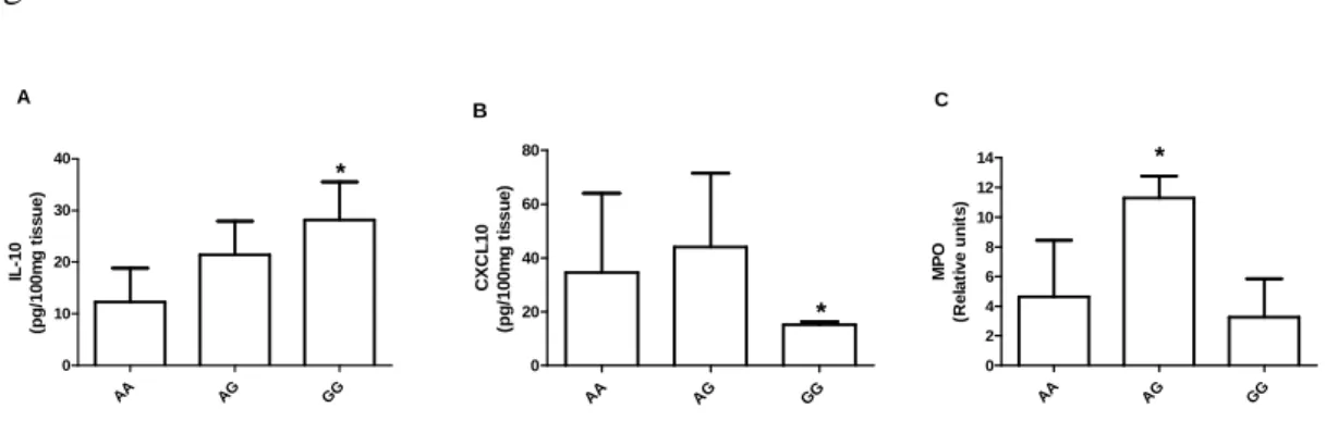 Fig.  2.  Levels  of  (a)  IL-10,  (b)  CXCL10  and  (c)  MPO  (myeloperoxidase)  in  periodontal 