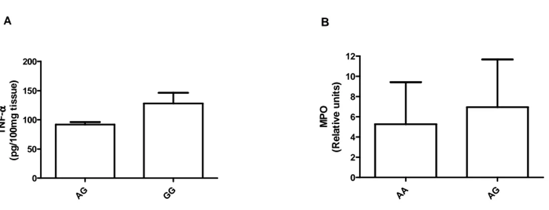 Figure 3.  A G G G050100150200ATNF-αααα(pg/100mg tissue) A A A G024681012BMPO(Relative units)