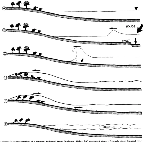 Fig.  8.  Schematic  representation  of  a  tsunami  (adapted  from  Duringer,  1984):  (A)  pre-event  stage;  (B)  early  stage  (caused  by  e.g