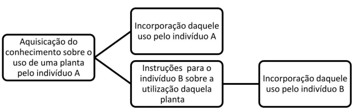 Figura 8 - Mecanismo de transmissão horizontal do conhecimento através do qual a informação pode  ser socialmente transmitida a partir da indicação de um indivíduo A para um indivíduo B
