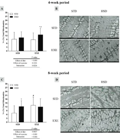 Fig 3. Effects of a high-sugar diet and regular physical activity (swimming without workload) on the mitochondrial profile of gastrocnemius muscle fibres over 4-week and 8-week periods