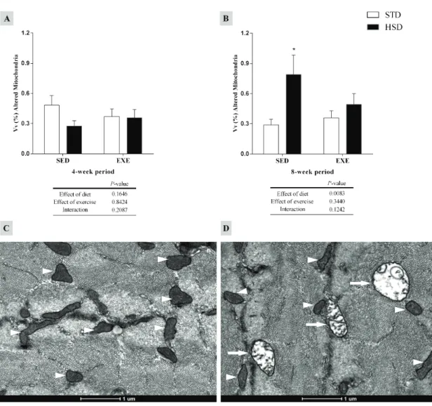 Fig 6 shows mRNA levels of Pgc1α in the gastrocnemius muscle. According to our results, reg- reg-ular physical activity had a significant effect (P < 0.01) in Pgc1α expression during the 4-week