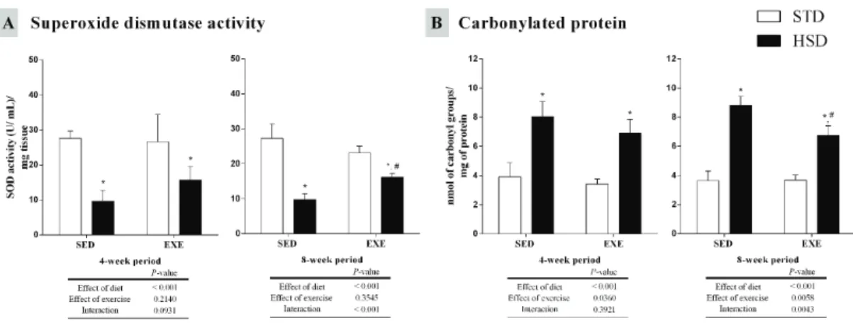 Fig 6. Effects of a high-sugar diet and regular physical activity (swimming without workload) on Pgc1 α expression over 4-week and 8-week periods