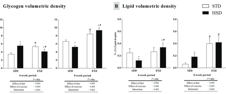 Fig 2. Effects of a high-sugar diet and regular physical activity (swimming without workload) on glycogen and lipids of gastrocnemius muscle fibres over 4-week and 8-week periods