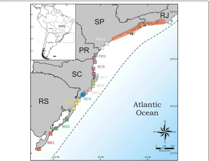 Fig. 1 Map showing the 27 sampled localities throughout the distribution of M simplex on the southern and southeast Atlantic coast of Brazil