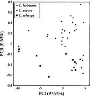 TABLE  2.-Coefficients  (PCI  and  PCII)  of  the  prin-  cipal  component  analysis  for  19  measurements  taken  for  the  combined  sample  of  the  species  of  Caiman