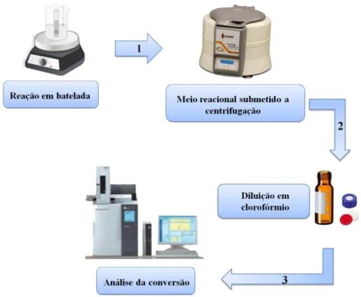 Figura 10: Imagem ilustrativa do trabalho de bancada desde a reação até a quantificação dos  produtos
