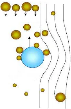 Figura 1: Fenômeno de captura (colisão mais adesão) de partículas  Fonte: Rubio e Matiolo   Schoenhals (2006, p.35) 