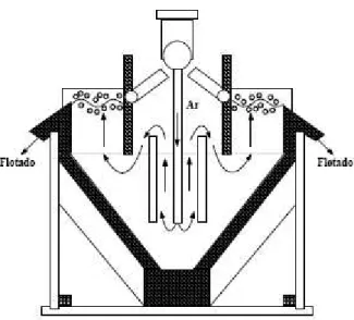 Figura 4: Desenho esquemático das células pneumáticas   Fonte: Oliveira   (2004, p.41) 