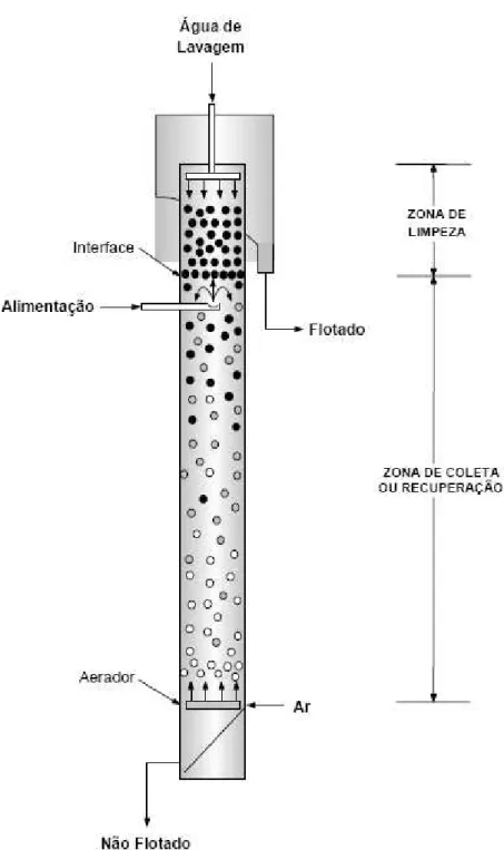 Figura 5: Desenho esquemático de uma coluna de flotação  Fonte: Oliveira e Aquino (2005, p.47) 