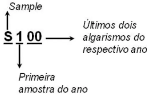 Figura  3  –  Código  de  denominação  dos  conjuntos  de  dados,  composto  pela  letra  s,  que  indica  amostra  (sample),  seguido  do  número  que  indica  a  ordem  desta  amostragem  no  ano  (primeira,  segunda  e  assim  sucessivamente)  e  dos  d