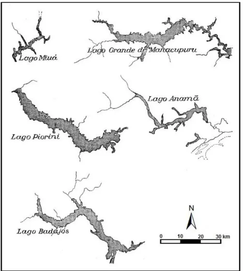 Figura 2.5 - Lagos de Origem Tectônica na Planície Amazônica. Fonte: (Sternberge 1950)