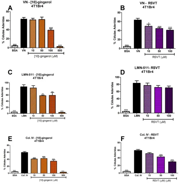 Figura 22 - Ensaio de inibição da adesão na linhagem 4T1Br4 pelo [10]-gingerol e RSVT