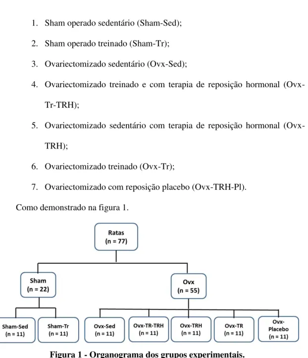 Figura 1 - Organograma dos grupos experimentais. 