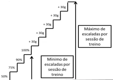 Figura 3 - Organização da carga de carregamento por sessão de treino. 