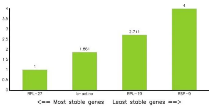 Figura 8- Classificação dos genes de referência mais estáveis pelos métodos Deta Cq,  Bestkeeper, Genorm e Normfinder