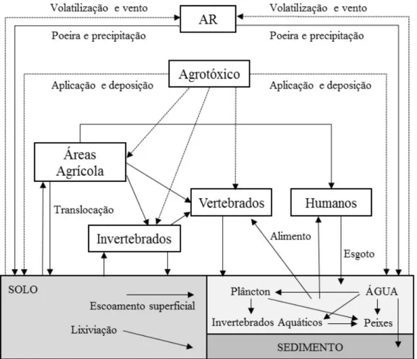 Figura 1. Transporte de agrotóxicos no ambiente. Fonte: Adaptado de Gavrilescu (2005)