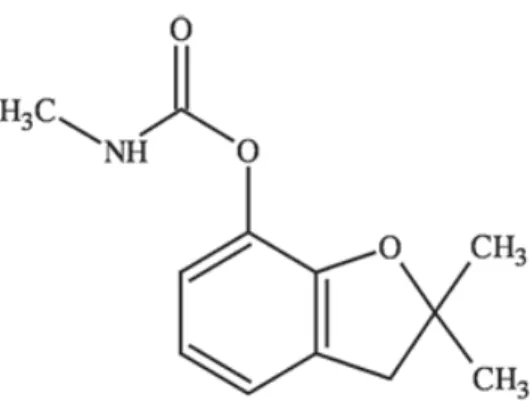 Figura 4: Estrutura química do carbofuran. Fonte: Valencia et al. (2008). 