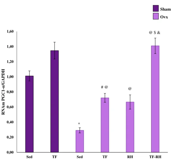 Gráfico 12. Expressão de RNAm de PGC-1α/GAPDH no músculo gastrocnêmio.  p&lt;0,05 comparado ao grupo 