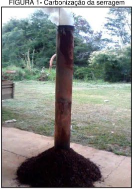 FIGURA 1- Carbonização da serragem 