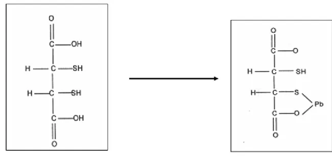 Figura 3. Estrutura química do DMSA e quelação do chumbo. 