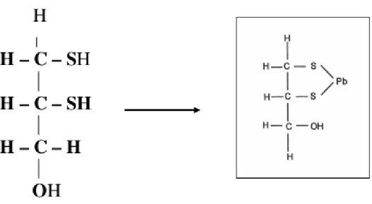 Figura 4. Estrutura química do Dimercaprol (BAL) e quelação do chumbo. 