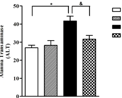 Figura 9. Dosagem da enzima hepática Alanina Transaminase (ALT) do plasma de ratos. 